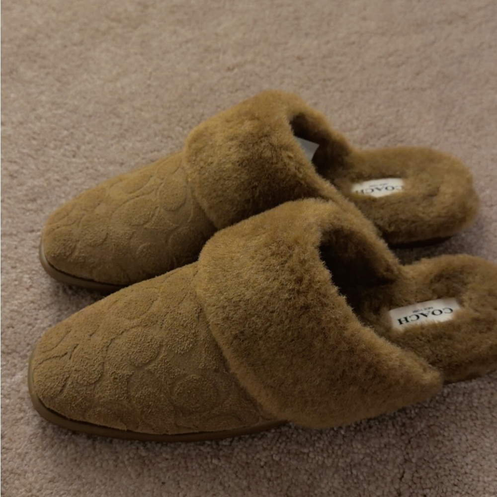 Coach Brown Suede Shearling Slide Mules